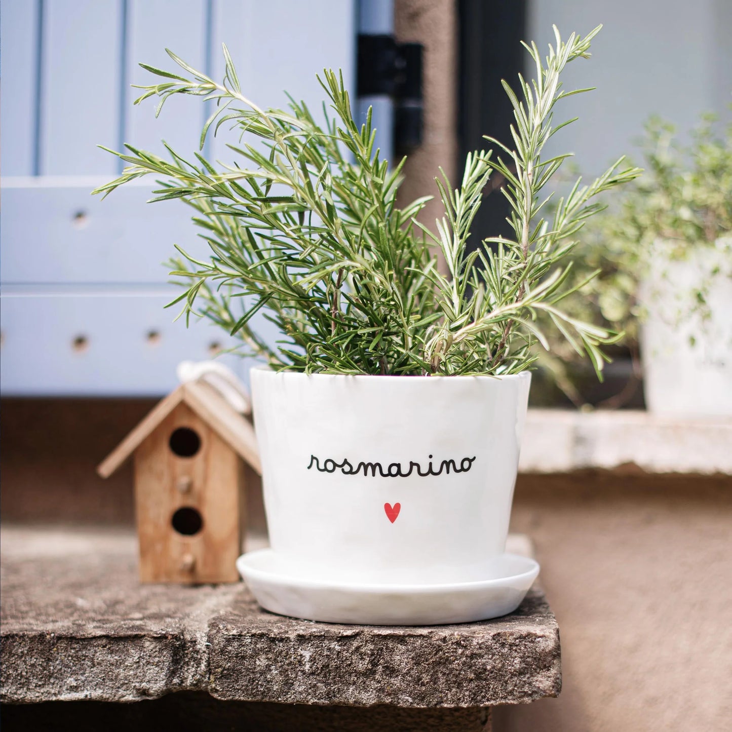 Vaso con sottovaso "rosmarino"