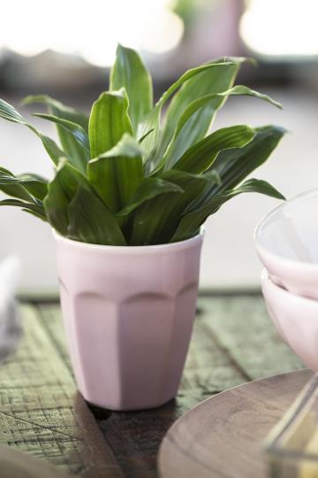 IBLAURSEN BICCHIERE /MUG ENGLISH ROSE