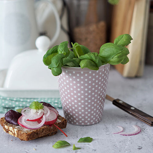 KRASILNIKOFF MUG MICRO POIS ROSA