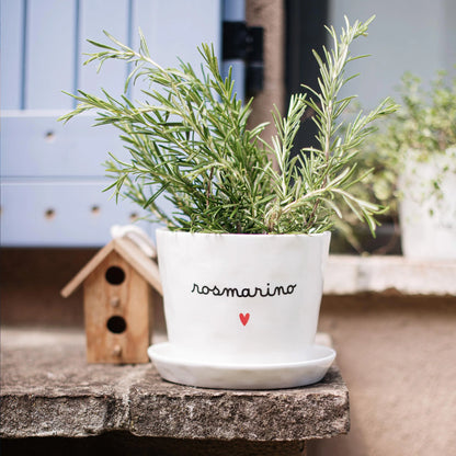 Vaso con sottovaso "rosmarino"